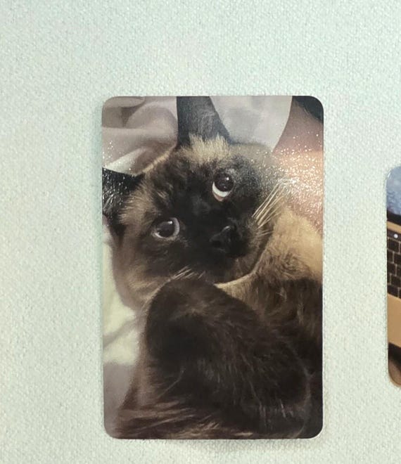 NCT TEN Wayv 2nd Mini Album Stunner Snack Pack Ver. Official