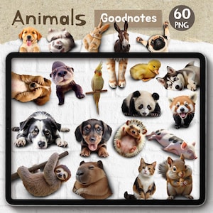 Adesivo digital realista de animais fofos, adesivo realista para animais de estimação, uso comercial, criador de cenas, objetos realistas, PNG, download instantâneo