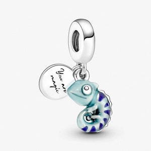 Pandora charm etsy deals