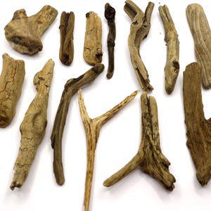 Natural Unique Driftwood Set Of 31 Unique Beach Wood Pieces for Crafts Beach Branches Decorative Drift Wood 2.5 - 20 cm; 0.98 - 7.87&#39;&#39;
