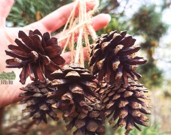Pine Cone Decoration 15 pcs Natural Decorations Hanging Decorations Natural Decor Home Decor Christmas Tree Ornaments Pine Cone Ornament