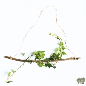 Decorative Driftwood Branch 41cm Drift Wood Wall Hanger Driftwood Macrame Long Air Plant Decorative Driftwood Large Decorative Drift Wood