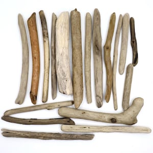 Natural Round Driftwood Branches Set Of 18 Unique Driftwood Branches Driftwood Pieces Decorative Drift Wood Beach Wood Decorative Branches