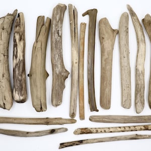 Natural Round Driftwood Set Of 17 Unique Pieces Drift Wood Branches Decorative Driftwood Branches Beach Wood Sticks Large Driftwood Branches