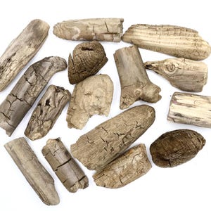 Driftwood Set Of 15 Large Driftwood Pieces Decorative Beach Wood Natural Driftwood Aquarium Drift Wood Driftwood For Crafts Unique DriftWood