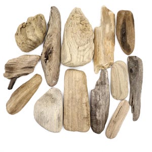 Unique Driftwood Pieces Set of 13 Flat Drift Wood Natural Driftwood Large Beach Wood Decorative Driftwood Coastal Wood Flat Beach Wood