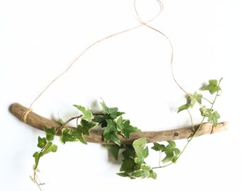 Driftwood branch 39cm Driftwood Wall Hanger For Waredrobe Minimalist Wall Art Driftwood Branch Rustic Air Plant Holder Piece