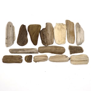 Set of 15 Flat Driftwood Pieces Decorative Driftwood Coastal Wood Natural Drift Wood Beach Wood Supplies Beach Wood Unique Drift Wood