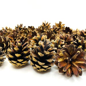 Pine Cones 100-50-25 pcs Natural Pine Cone Decoration For Holiday Wreath Christmas Decor Pine Cone Ornaments 1.18-1.96'' Natural Crafts