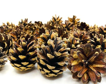 Piñas naturales (100-50-25 unidades) para decoración de coronas navideñas, adornos de 3-5 cm. Artesanía natural.