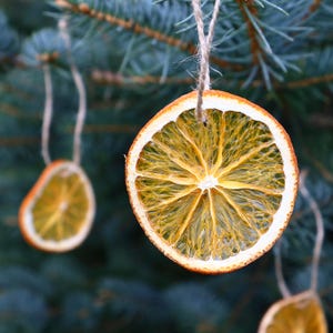 Può includere: Decorazioni a fette d'arancia essiccate appese a un ramo di abete blu-verde. Le fette d'arancia hanno una scorza marrone chiaro e un interno giallo-arancio. Ogni ornamento è sospeso con spago naturale, creando un'estetica rustica e naturale.