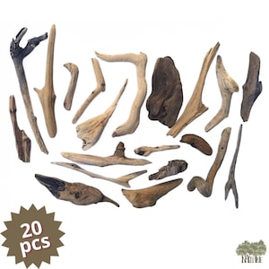 Unique Driftwood Set Of 20 pcs Driftwood Collection Natural Drift Wood Decorative Driftwood Natural Beach Wood Sticks Decorative branches