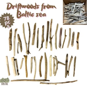 Bulk Driftwood set of 78 pcs Drift Wood Branches Decorative Driftwood Natural Driftwood Beach Wood Decorative Branches Coastal Wood