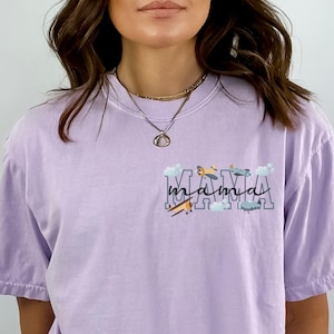 Airplane Matching Family Birthday Shirt, Airplane 1st Birthday Outfit, Flight Crew Birthday Comfort Colors Tee Vintage Airplane Birthday