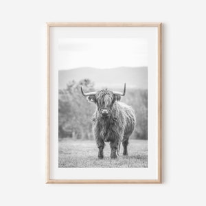 Highland Cow Print, Cattle Wall Art, Highland Cow Black and White, Rustic Wall Art, Highland Cow Poster, Farmhouse Wall Decor, Farm Animal