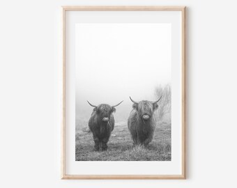 Highland Cow Print: Black and White Cattle, Rustic Farmhouse Decor (Digital Download)