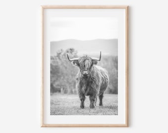 Stampa in bianco e nero raffigurante una mucca delle Highlands: decorazione murale rustica in stile fattoria (download digitale)