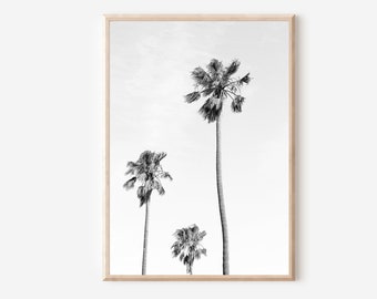 Black and White Palm Tree Print: California Tropical Wall Art (Digital Download)