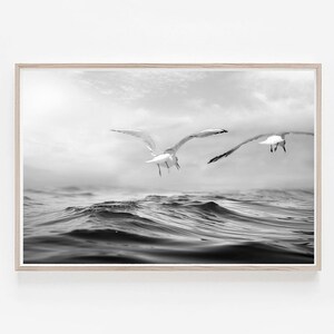 May include: Monochrome framed print featuring two seagulls soaring above the sea. The birds are captured mid-flight, their wings outstretched, against a backdrop of a cloudy sky. The water's surface is rippled.