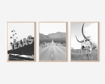 Texas Black and White Photo Set: Longhorn, Road, Sign (Digital Download)