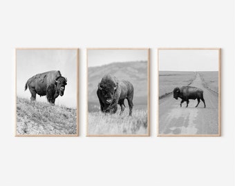 Black and White Bison Print Set: Farmhouse Western Decor (Digital Download)