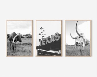 Texas Longhorn Print Set: Southwestern Black and White Photography (Digital Download)
