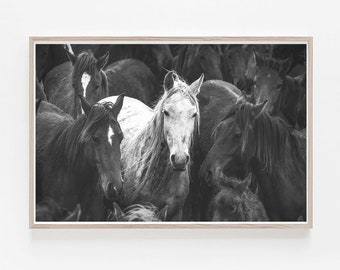 Zwart-wit paardafdruk: moderne paardensportkunst in boerderij (digitale download)