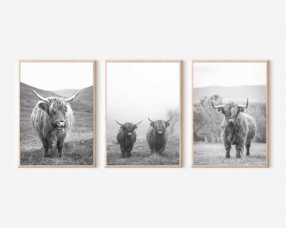 Highland Cow Prints Set: Rustic Farmhouse Decor (Digital Download)