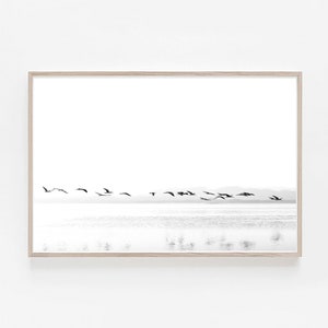 Birds Print Black and White Art, Flying Birds Print, Horizontal Print, Modern Minimalist Poster, Flock of Birds Art, Bird Silhouette Poster