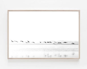 Fliegende Vögel Druck: Schwarz weisse minimalistische Kunst (Digitaler Download)