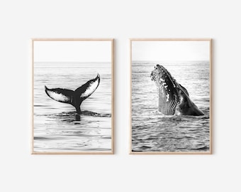 Black and White Whale Tail Art Print: Ocean Photography (Digital Download)