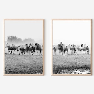 Horse Prints Black and White Cowboy Wall Art Western Decor Horse Аrt Prints Set Southwestern Art Poster Farmhouse Wall Art Set of 2 Prints