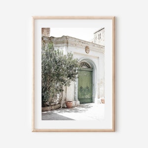 May include: A weathered green door with an arched top, set in a white building with a potted plant in front. The door is surrounded by a white stone courtyard.