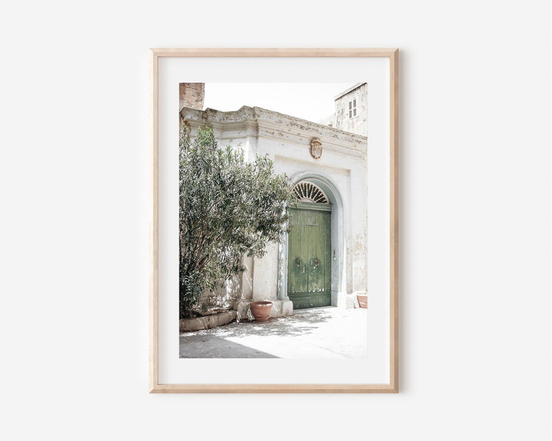 May include: A weathered green door with an arched top, set in a white building with a potted plant in front. The door is surrounded by a white stone courtyard.