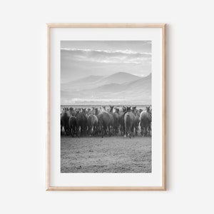 May include: Black and white framed print featuring a herd of horses moving away from the viewer. The horses are in the foreground, with mountains and a cloudy sky in the background. The print is in a light wood frame.
