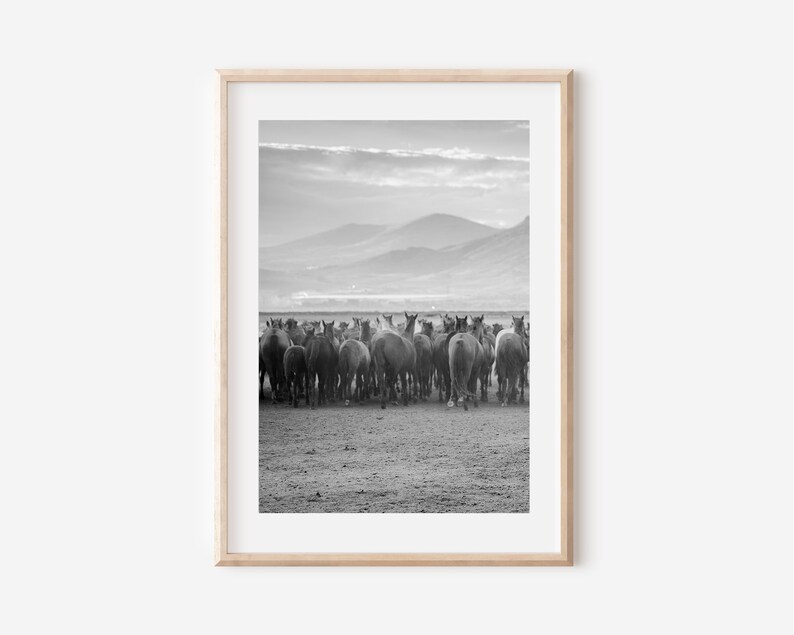 May include: Black and white framed print featuring a herd of horses moving away from the viewer. The horses are in the foreground, with mountains and a cloudy sky in the background. The print is in a light wood frame.