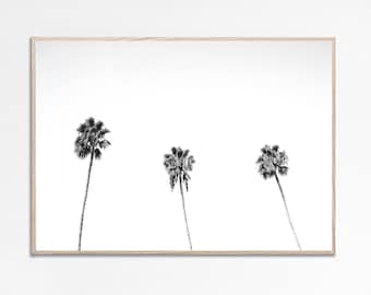 Black and White Palm Tree Print: California Tropical Art (Digital Download)