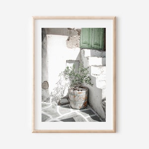 May include: A whitewashed building with a green door and a potted olive tree in a wooden pot. The building is in a sunny location and the shadows are cast on the whitewashed walls and the stone floor.