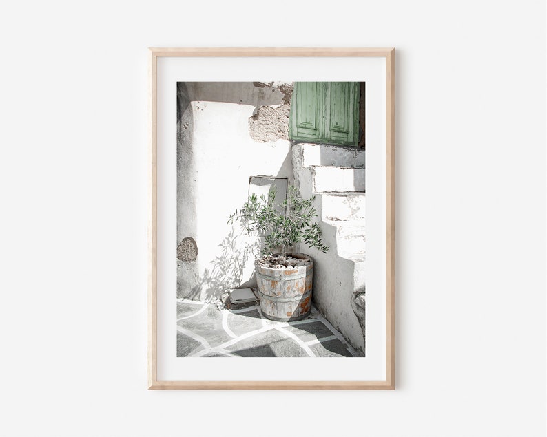 May include: A whitewashed building with a green door and a potted olive tree in a wooden pot. The building is in a sunny location and the shadows are cast on the whitewashed walls and the stone floor.