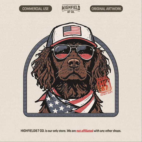 Patriotic Hunting Dog PNG, Boykin Spaniel American Flag Design, USA Hunting Dog Shirt Graphic, 4th of July Digital Download