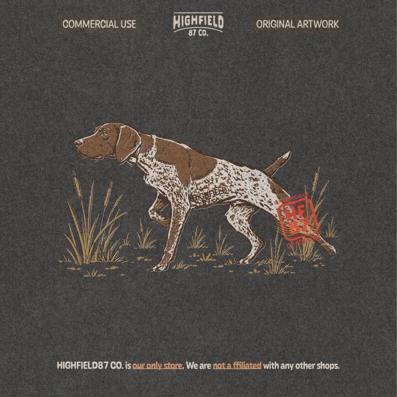 Pointing dog PNG showing a German Shorthaired Pointer with brown head, spotted body, raised paw, and hunting field details.