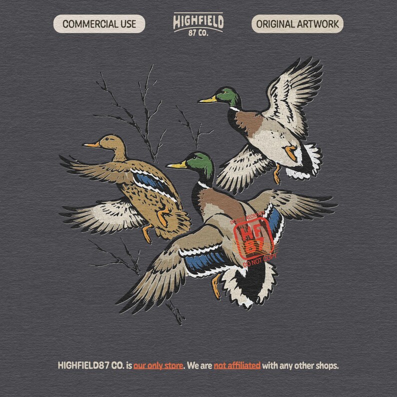 Flying duck hunting PNG featuring three mallards in flight, including two green headed drakes and one brown hen duck.
