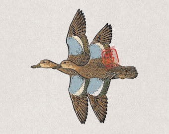 Blue Winged Teal PNG, Flying Teal Ducks Waterfowl Hunter Shirt Design, Duck Hunting Digital Download Gift for Duck Hunters