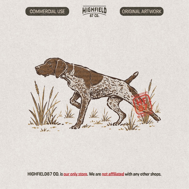 German Shorthaired Pointer PNG featuring a liver roan hunting dog standing in a pointing pose among tall grass and field plants.