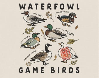 Ilustração de um mapa de aves aquáticas, como patos e gansos, para caça. Disponível para download digital.
