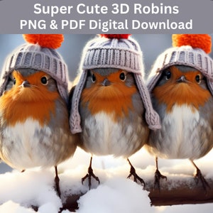 3D Cute Robins - PNG Clipart - Download digital - PDF - Clipart de animais festivos de Natal, clipart de berçário, foto, festivo
