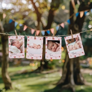 Modèle de bannière Photo premier anniversaire baies, panneau de bienvenue 1er anniversaire fraise, cartes d'étape mensuelles 1ère année de bébé modifiables, BD03
