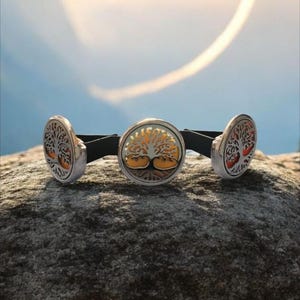 Car vent diffuser, air freshener, replacement pads,