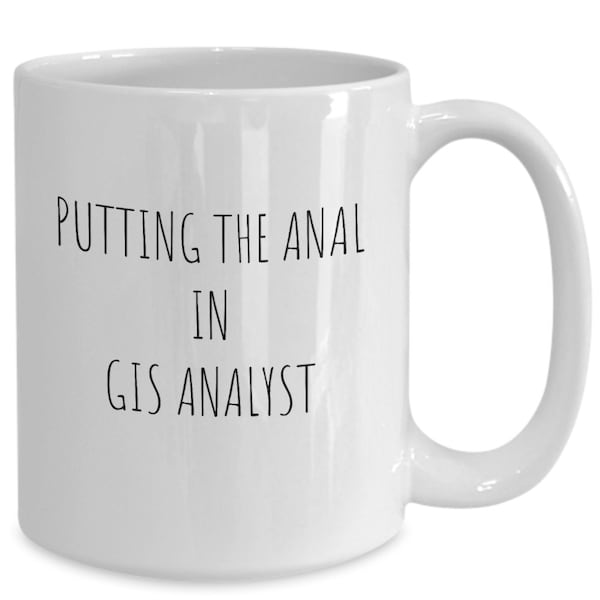 Funny GIS Analyst Mug, Rude GIS Analyst Cup, Adult Humor, GIS Analyst Gifts, Geographic Information Systems Analyst Gift, Coworker Gifts