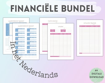Panoramica annuale/mensile del pacchetto finanziario, debiti, risparmi, entrate, spese, fatture, questa agenda include tutto per monitorare le questioni finanziarie